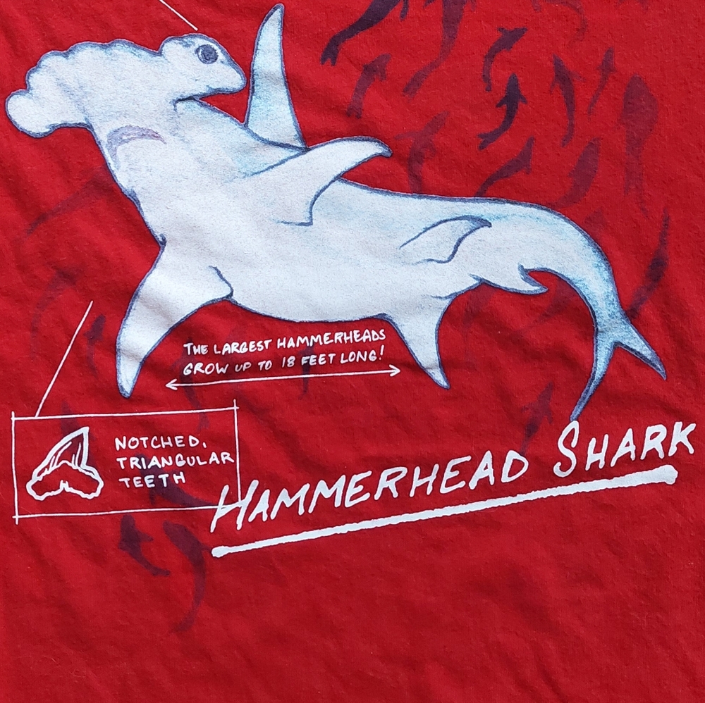 Land's End euc/ln Size 14-16 tees - Picture 8 of 15